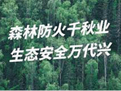 习近平对云南昭通市镇雄县山体滑坡作出重要指示 要求全力搜救失联人员 防范