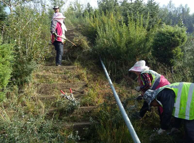 西宁南北山森林防灭火工作提前着手、扎实推进