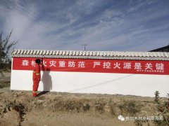 格尔木市林草局组织公益林管护站全面开展国庆期间森林防火巡逻宣传