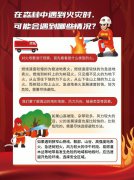 森林中遇到火情，这些应对措施要掌握